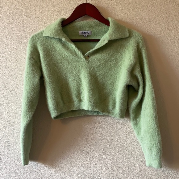 Redberry Mint Cropped Polo Sweater 